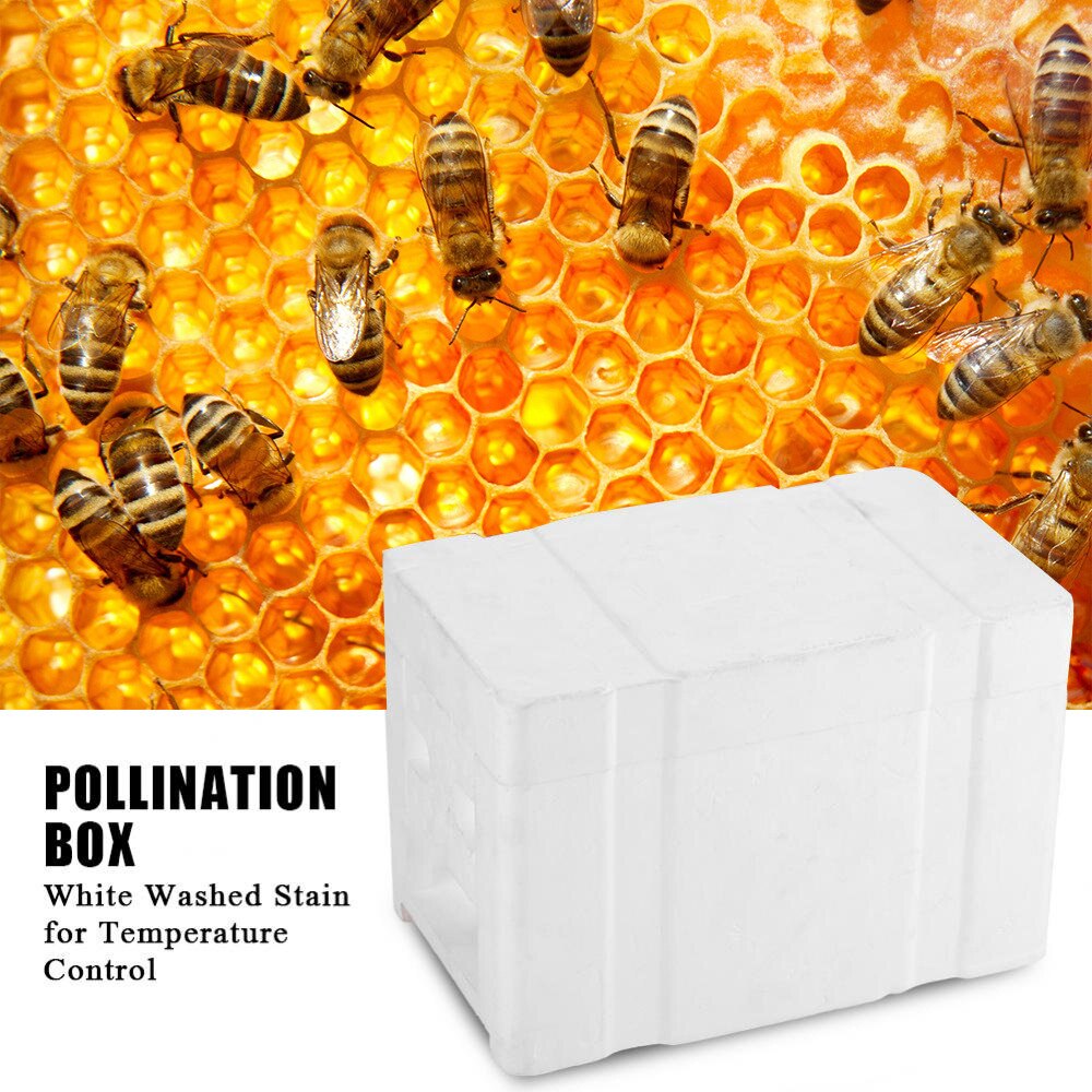 Foam Bee Mating Box with Grid Warmkeeping Waterproof Queen Breeding Case 24.1x15x14.1cm Beekeeping Tools for Pollination J2Y
