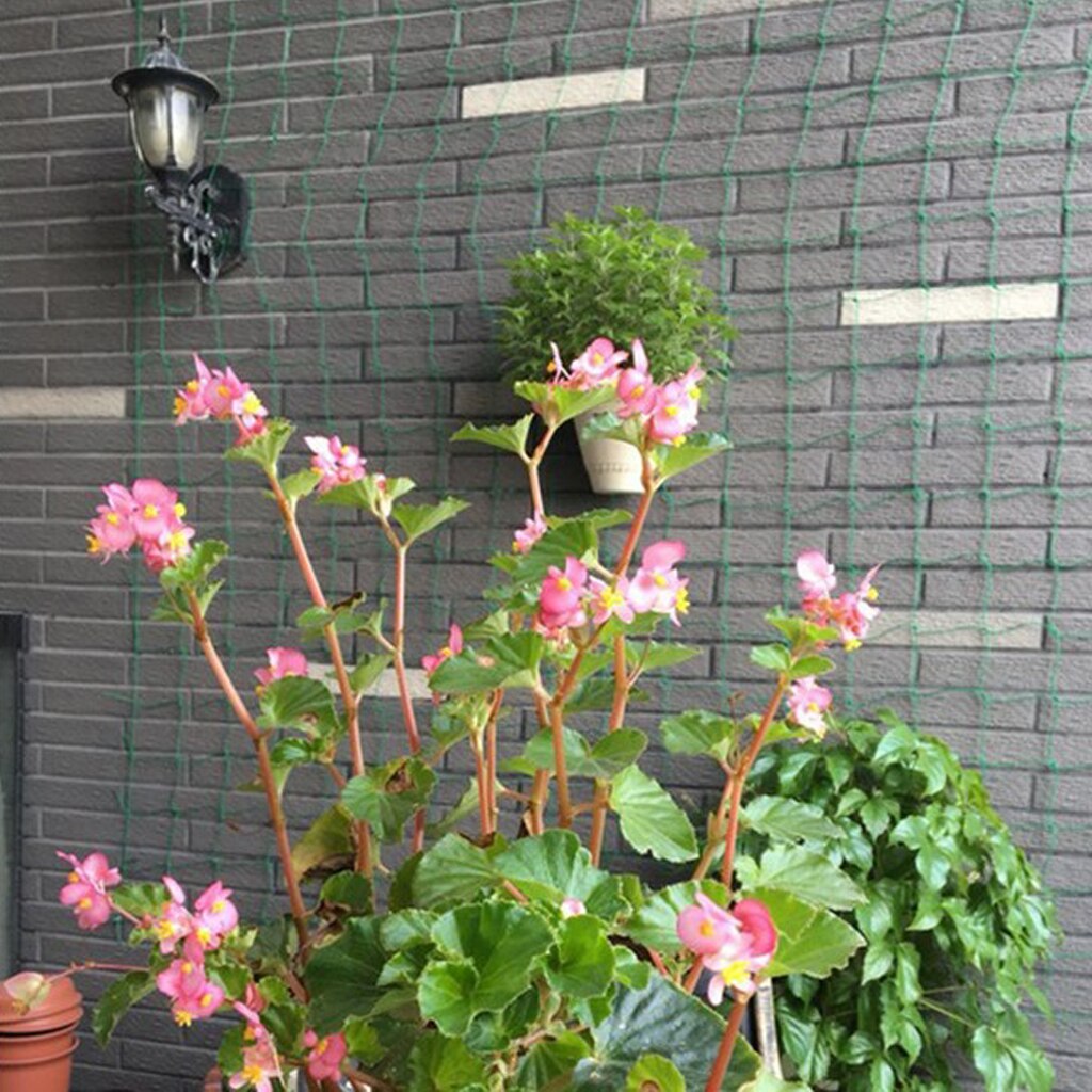 Pack Of 3 Vegetable Trellises For Climbing Plants Support Vegetables And