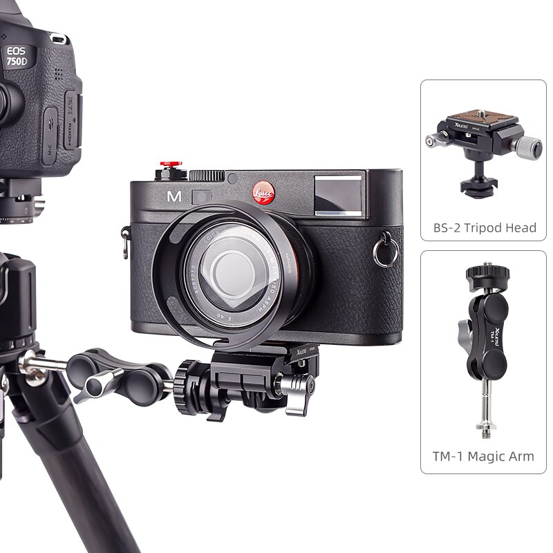 XILETU BS2 Tripod Ball Head 360 Degree Video Stand Panoramic Heads for DSLR Camera Head Tripod Head Accessories: TM1BS2