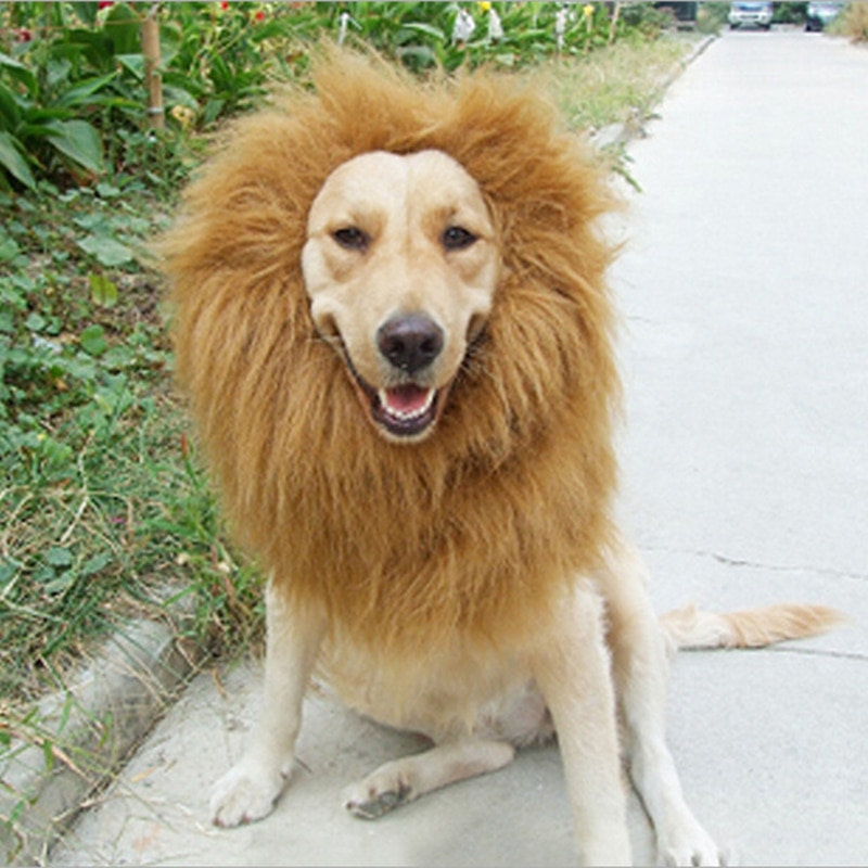 Perruque/oreilles pour grand chien | 4 couleurs, Costume pour animaux domestiques, crinière de Lion, déguisement d'halloween
