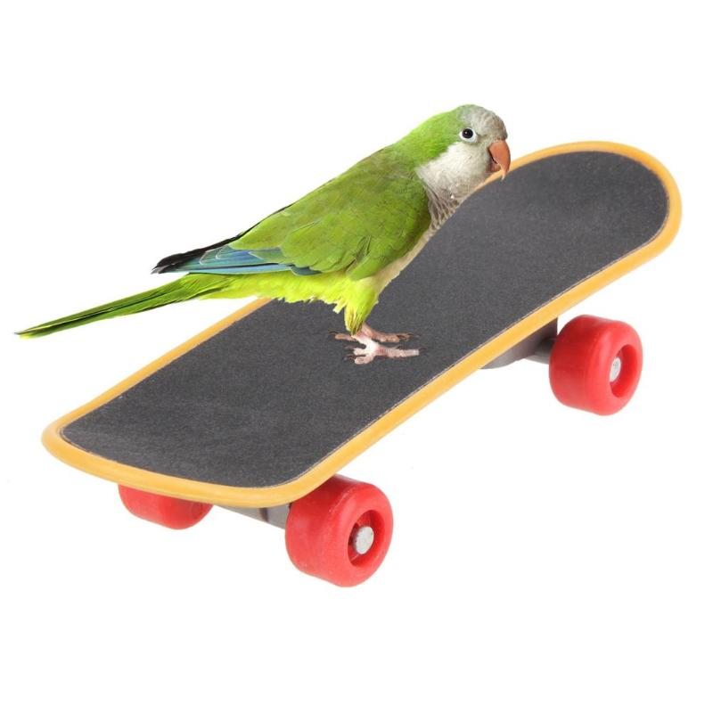 Vogel Speelgoed Mini Papegaaien Skateboard Vogels Acrobatiek Training Spelen Skateboarden Speelgoed Voor Valkparkiet Parkiet Dierbenodigdheden