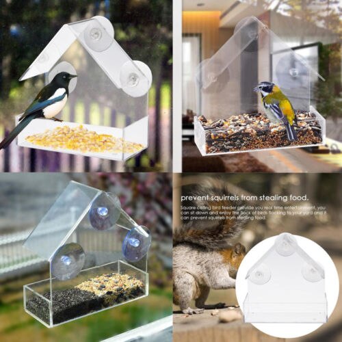 Officielt akryl klart husvindue fuglefoder fuglehus med sug udendørs haven fodring