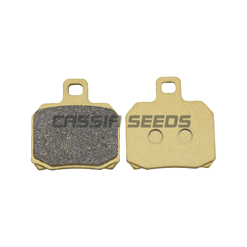 Motorcycle front and rear brake pads for Ducati 696 Monster 750 Supersport 796 800 848 Street Fighter 900 ST2 ST3 ST3S S4 ST4S: Lavender