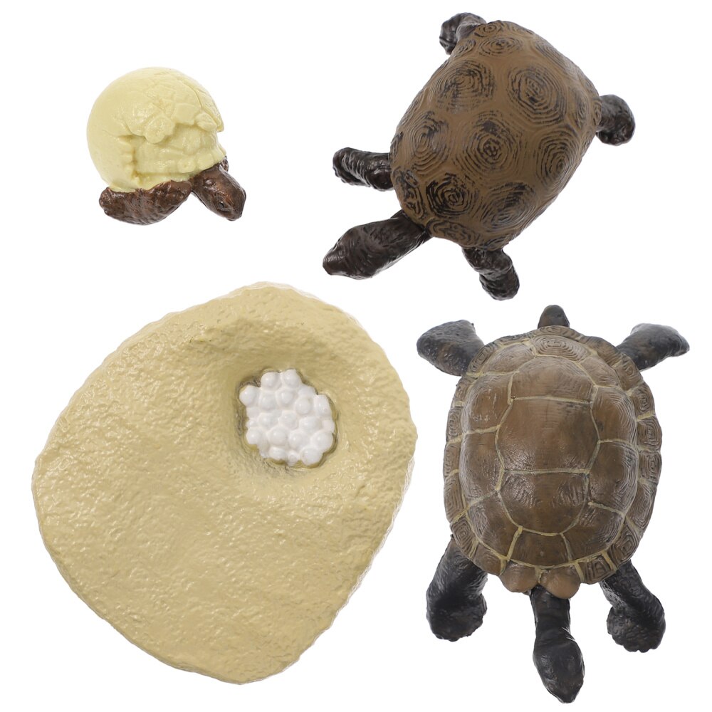 1 Set Tortoise Growth Cycle Models Simulated Tortoise Adornments Cognitive Toys: Default Title