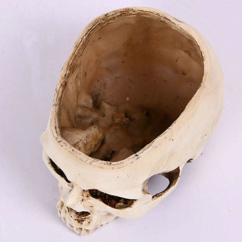 Pot de fleur multifonctionnel plaque de fruits réservoir de stockage grand crâne humain anatomie squelette anatomique du cerveau crâne explosé