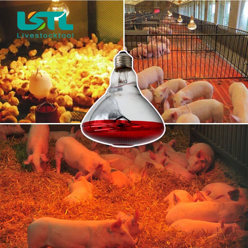 220 V Viehtiere Haustier-Heizlampe, thermische Erhaltung, Wärme-Infrarotstrahl für Reptilien, Amphibien, Haustier, 100/150/200/275 W