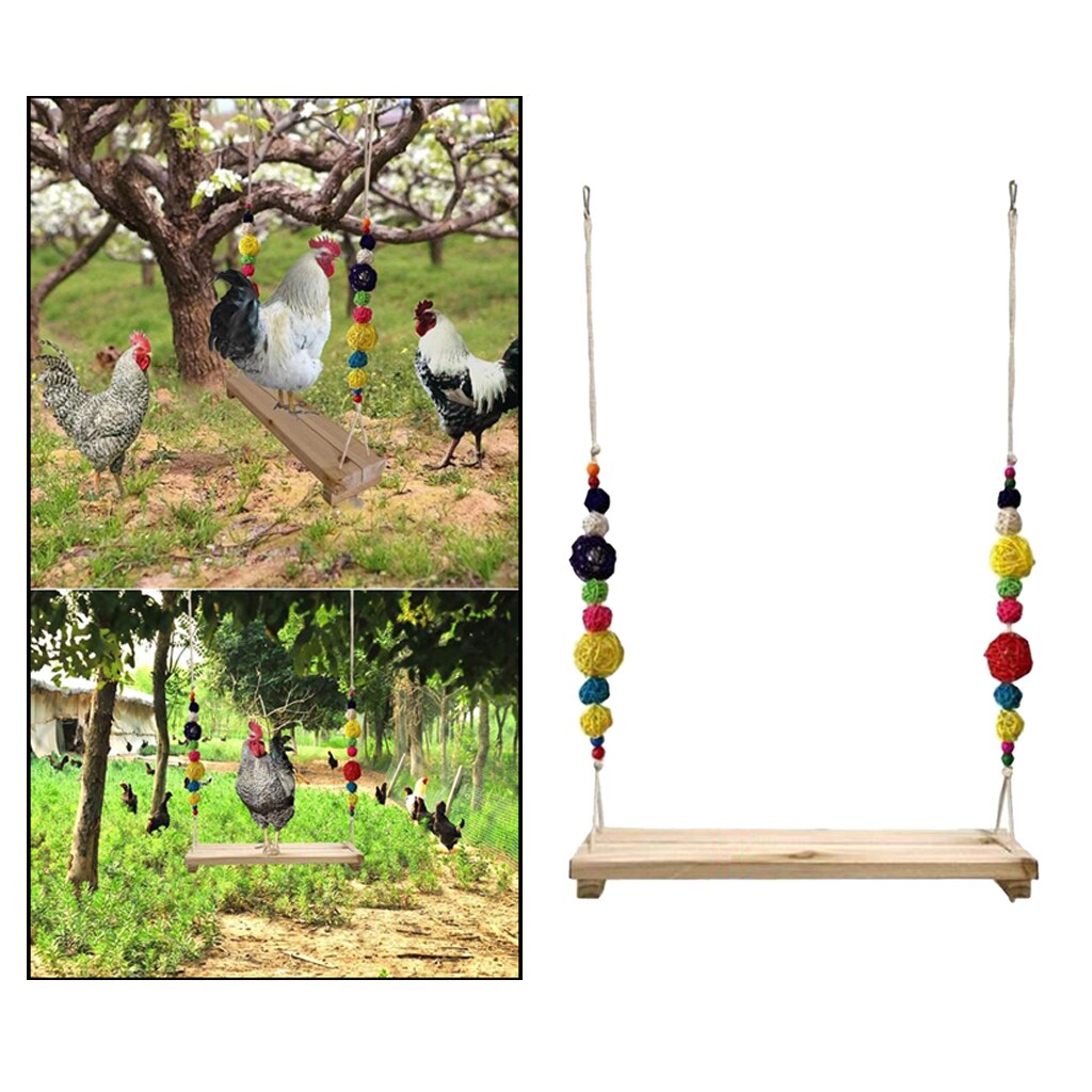 Chicken Swing Colorful Chicken Toys For Hens Bird Parrot Macaw Hens Swing Ladder