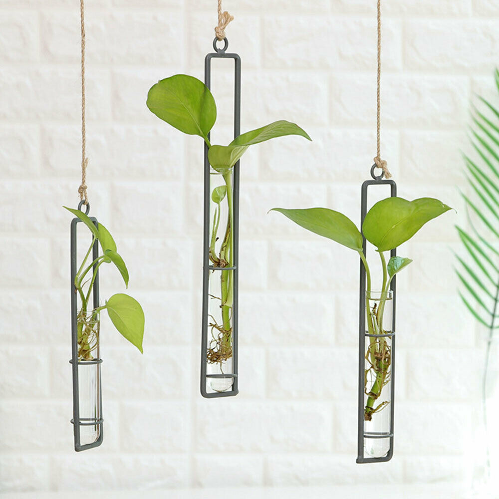 Wanddecoratie voor bloemenvaas van ijzer, transparant glas, voor hydrocultuur, diy plantenbak, hangende decoratie