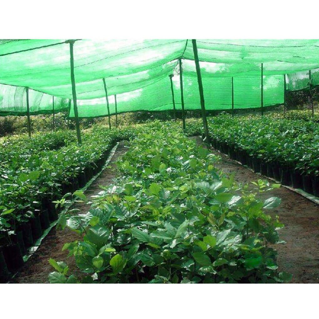 Construction Safety Debris PE Netting Breathable Sun Shade Greenhouse Ceiling Polyethylene Net