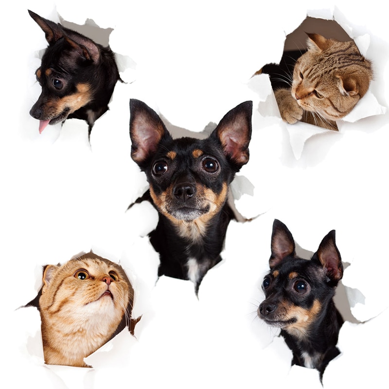 3D Leuke Puppy Kitten Muursticker Badkamer Wc Kast Woondecoratie Decals Achtergrond Behang Katten En Honden Stickers