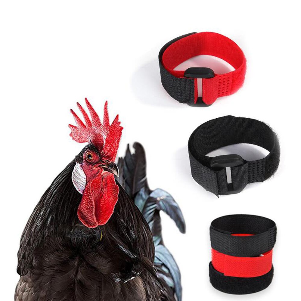 Correa ajustable para el cuello de mascotas, Collar para Gallo, aves de corral, accesorios para pollos, patos, gansos, sin ruido