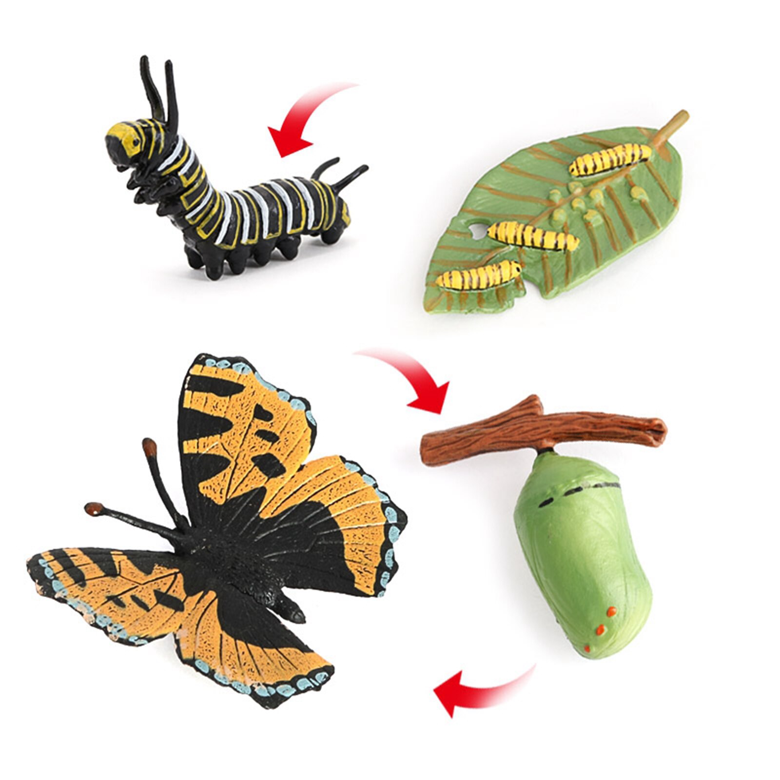4 Piece Life Cycle Figures, Insects Plastic Butterfly Toy Figure - Authentic Hand Painted Model