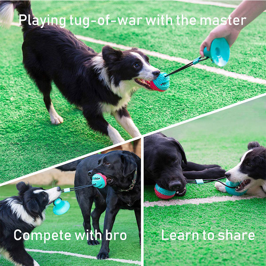 suction cup tug dog toy with Suction Cup Push Elastic Ropes Pet Tooth Cleaning Chewing Playing IQ Treat Puppy Cats Toys