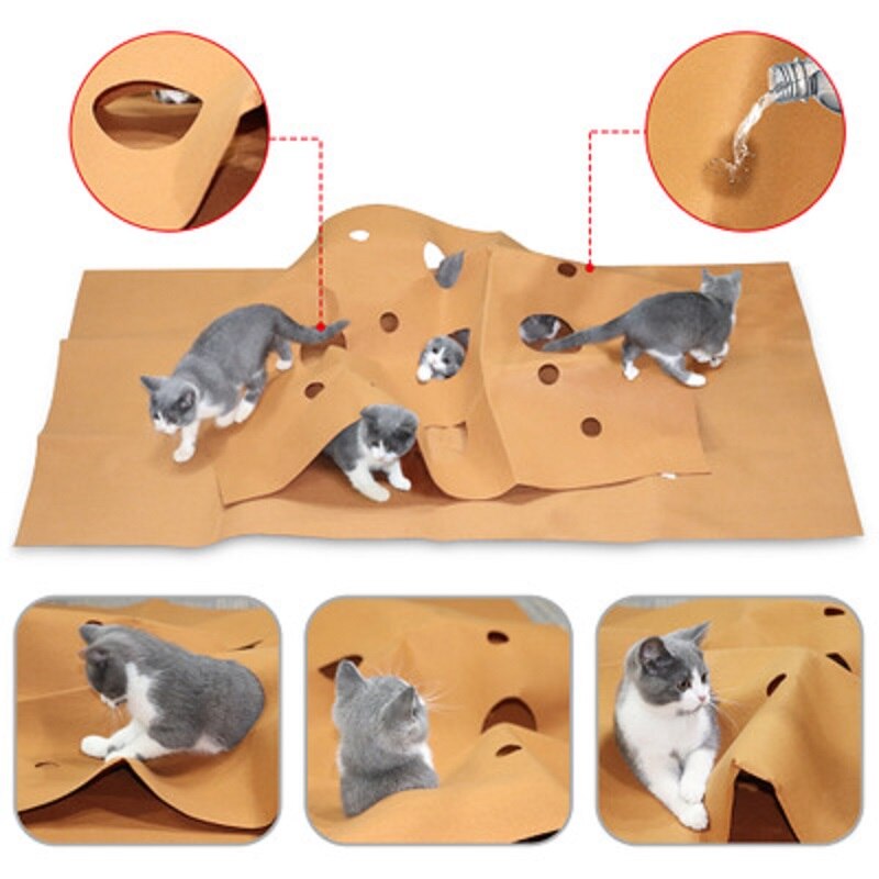 K-STAR chat agilité tapis d'entraînement chat jouet morsure tapis pour animaux de compagnie chat chien coussin feutre tissu tapis de jeu pour animaux de compagnie