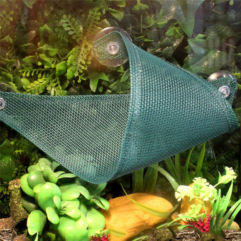 Rettile amaca traspirante Mesh triangolare Habitat lettino ponte Decor per prodotti di arrampicata lucertola drago barbuto