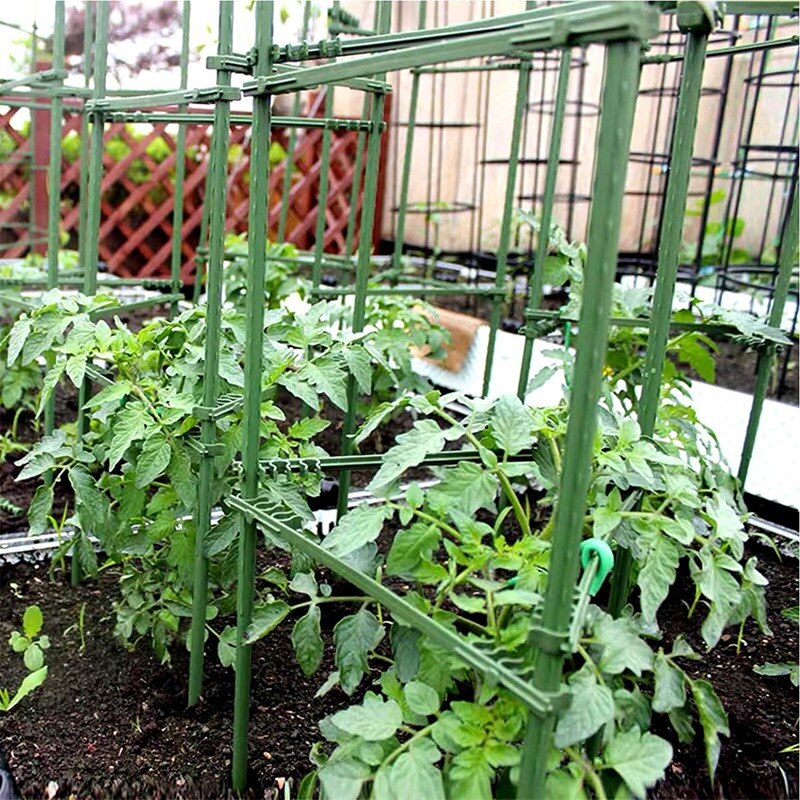 Gabbie per pomodori pali di supporto per piante da giardino Set traliccio per verdure all'aperto per piante rampicanti verticali 84 pezzi