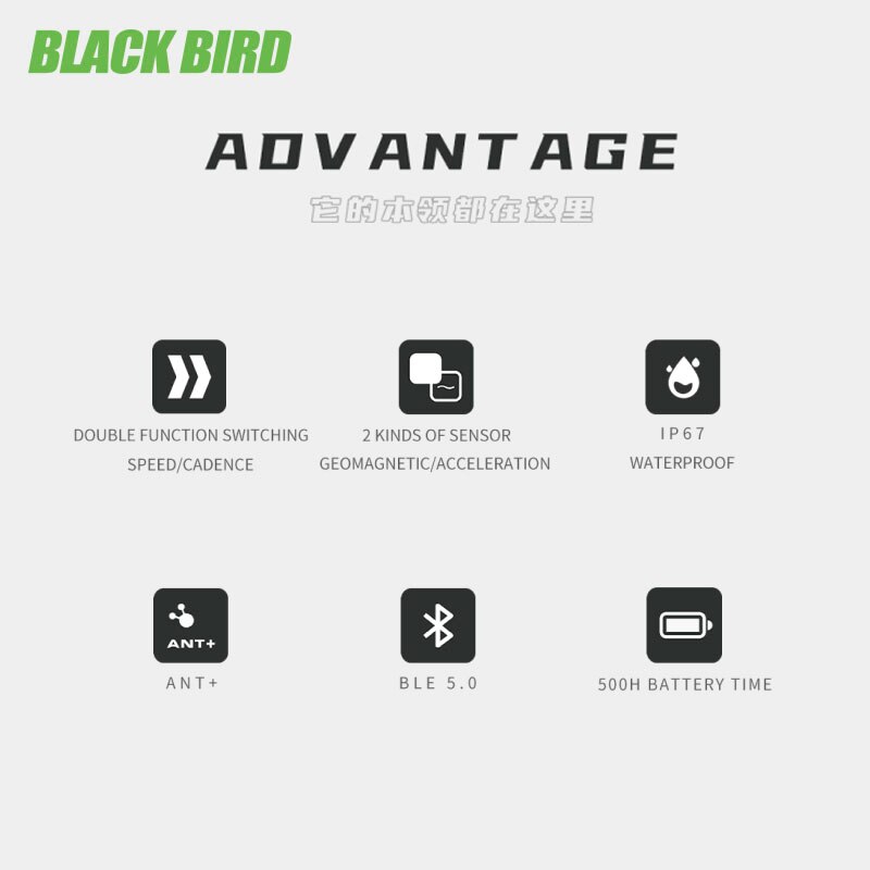 BLACKBIRD – capteur de Cadence CS1, compteur de vitesse, double Rpm, Bluetooth 5.0 ANT +, pour vélo de route et vtt, pour Garmin Zwift
