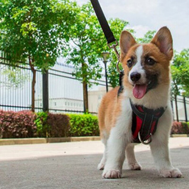 Ademend Mesh Harnas Hond Vest Veiligheid Pet Autogordel Hondenriem Lead Verstelbare Voertuig Harnas Voor Medium Grote Honden #1