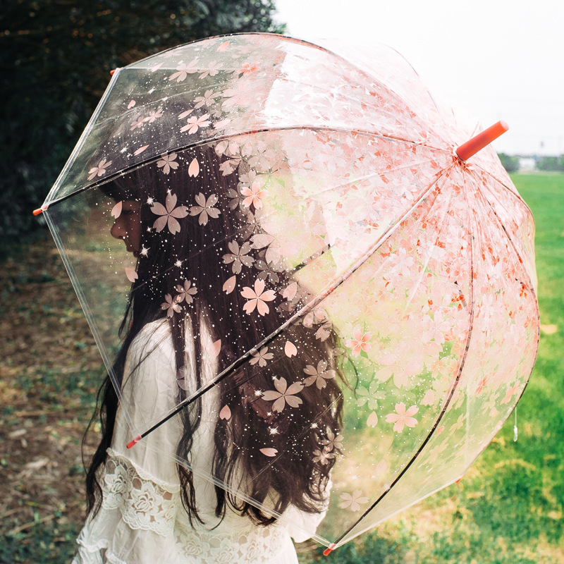 Apollo Prinses Romantische Sakura Paraplu Transparante Paraplu Eva Vrouwen Regen Parasol Lange Steel Rechte Paraplu