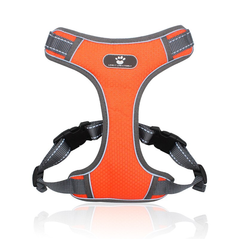 Harnais pour chien | DoggyComfort