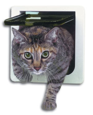 Gratis pakket 4 manieren afsluitbare kat kitty deur ook geschikt voor kleine hond wit goede huisdier producten