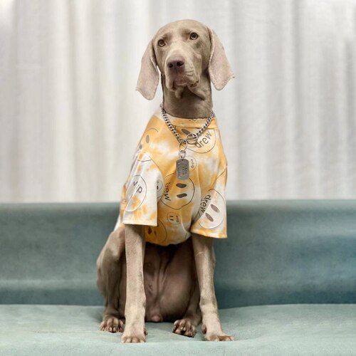 Grote Hond Kleding Hond Zonnebrandcrème Pak Golden Retriever Labrador Doberman Ademend Lente-Zomer Hond Kleding Hond Accessoires: small dog XXXL / YELLOW