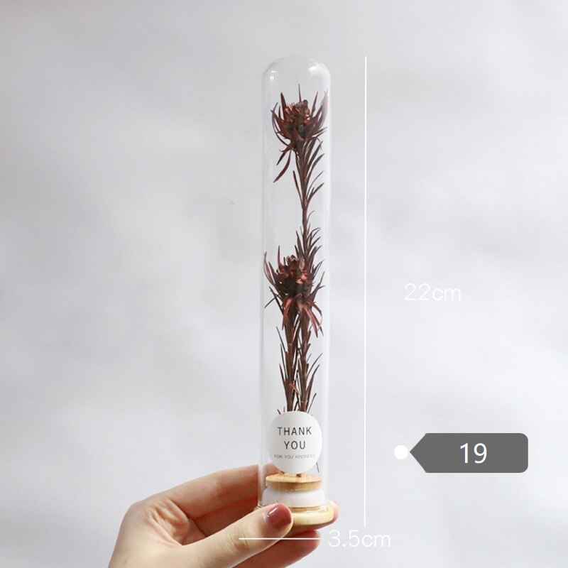 Dried Flower Glass Test Tube Decorations Family Living Room Study Specimens Ornaments: 19