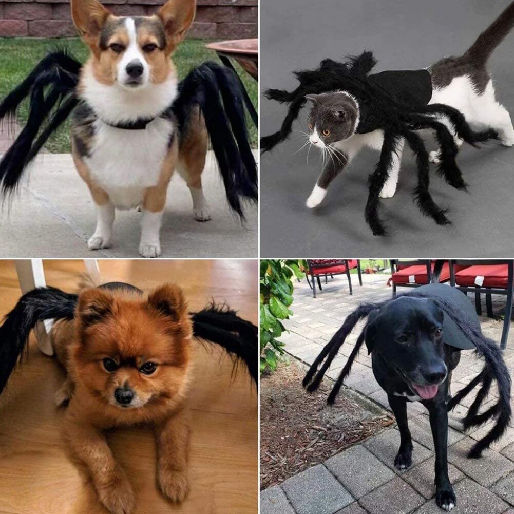 Halloween edderkop tøj til kæledyr hund kat edderkopp kostumer udklædning kæledyr tøj kæledyr halloween rekvisitter tilbehør til festtøj