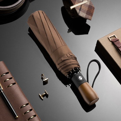 Wind Resistant Folding Automatic Umbrella Rain Women Auto Luxury Big Windproof Umbrellas Rain For Men Black Coating 10K Parasol: Umbrella 2 Brown
