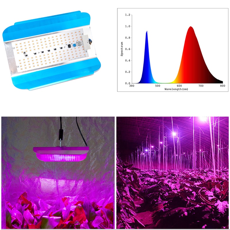 Luz para crecimiento de plantas para uso en interiores 50W 100W fitolamp de espectro completo para plantas lámpara de plantas Led Phyto Luz de planta con 220V EU 110V US enchufe luces de inundación