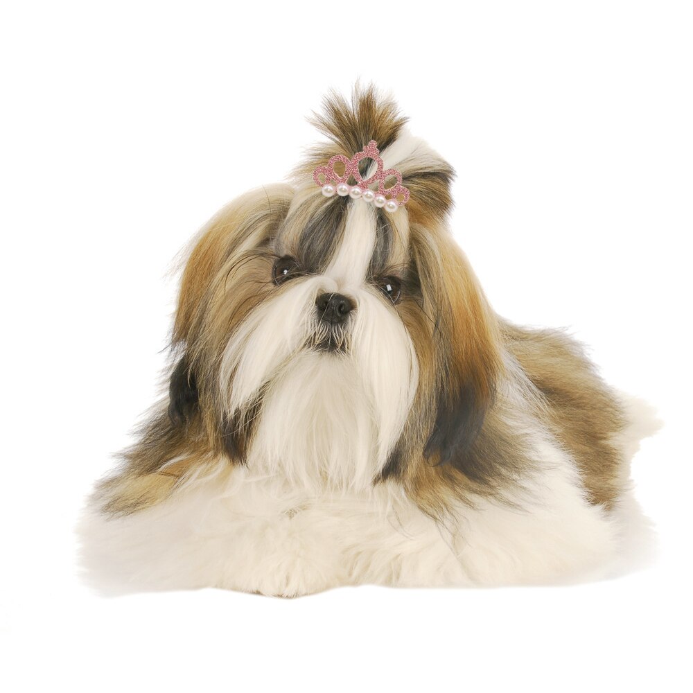 Lazos de poliéster con forma de corona de perlas sintéticas para perros pequeños, pinzas para el pelo de colores para mascotas, lazos para gatos, accesorios para mascotas