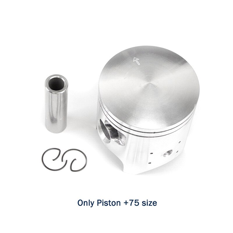 STD Oversize +25 +50 +75 +100 Motorcycle Piston and Ring Kit For Kawasaki KDX200 KDX 200 66mm 66.25mm 66.5mm 66.75mm 67mm 200cc: 0.75 Piston