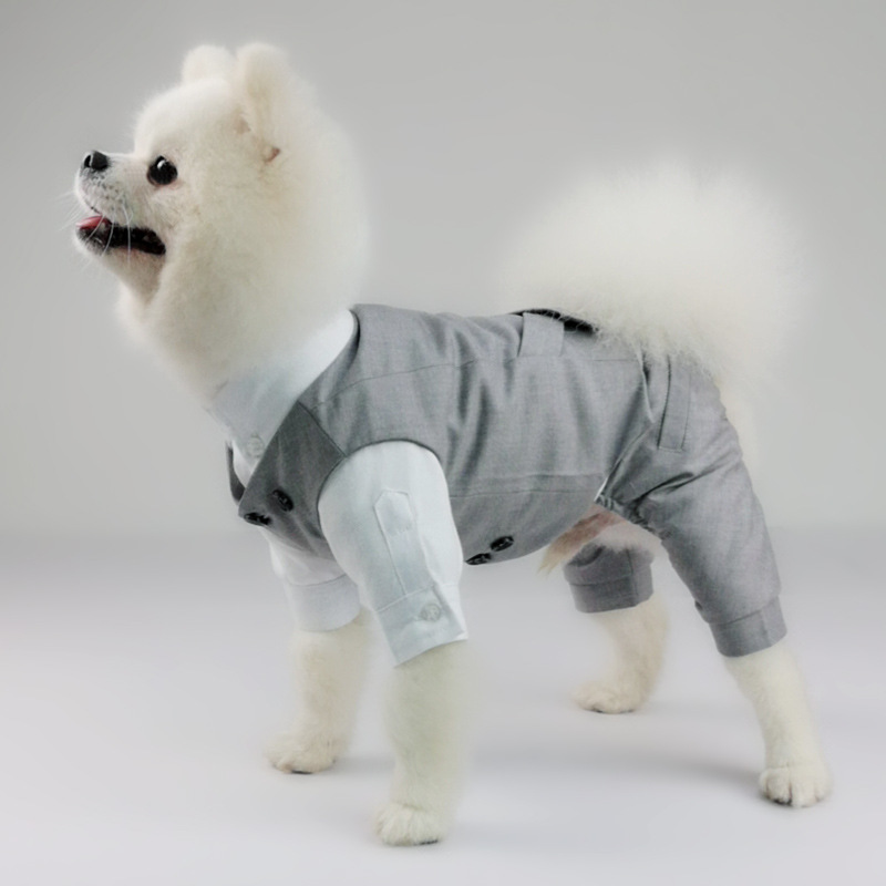Traje de perro para boda, 4 Patas, Chihuahua, Yorkie, Pomeranian, Schnauzer, Pug, Bulldog Francés, ropa para mascotas
