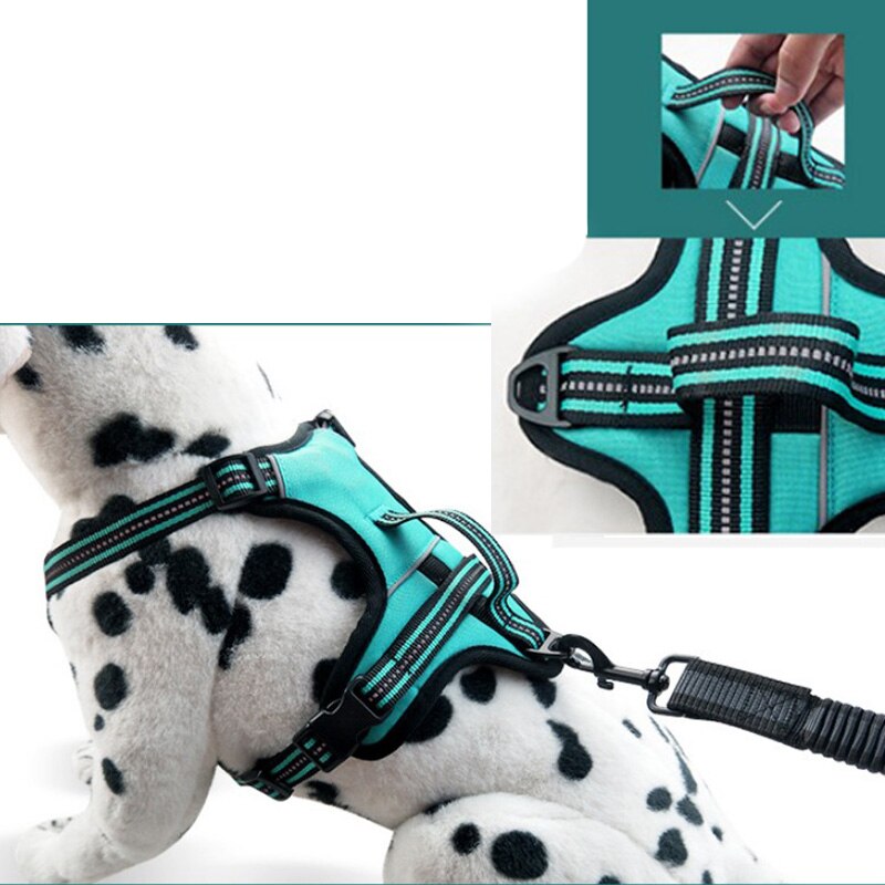 Pet Dog Harness Leash With Adjustable Straps Chest Back Reflective Breathable Mesh Chest Strap Pet Dog Supplies