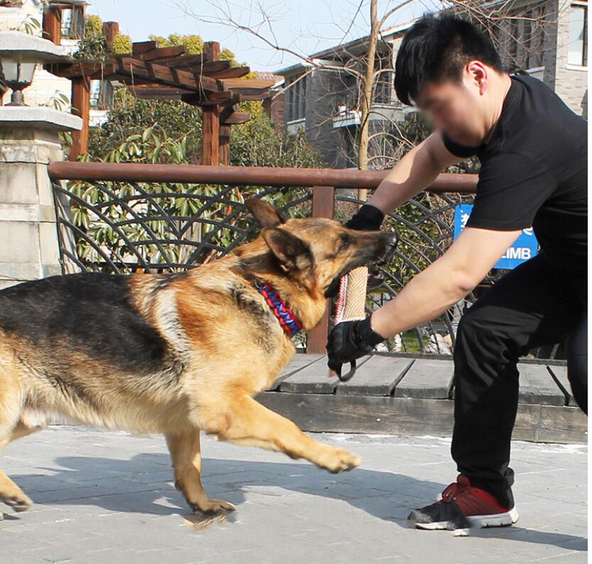 30 cm bid-resistent linned hund træning stick med håndtag hund bid bid legetøj hund træningsudstyr interaktivt legetøj hund forsyninger