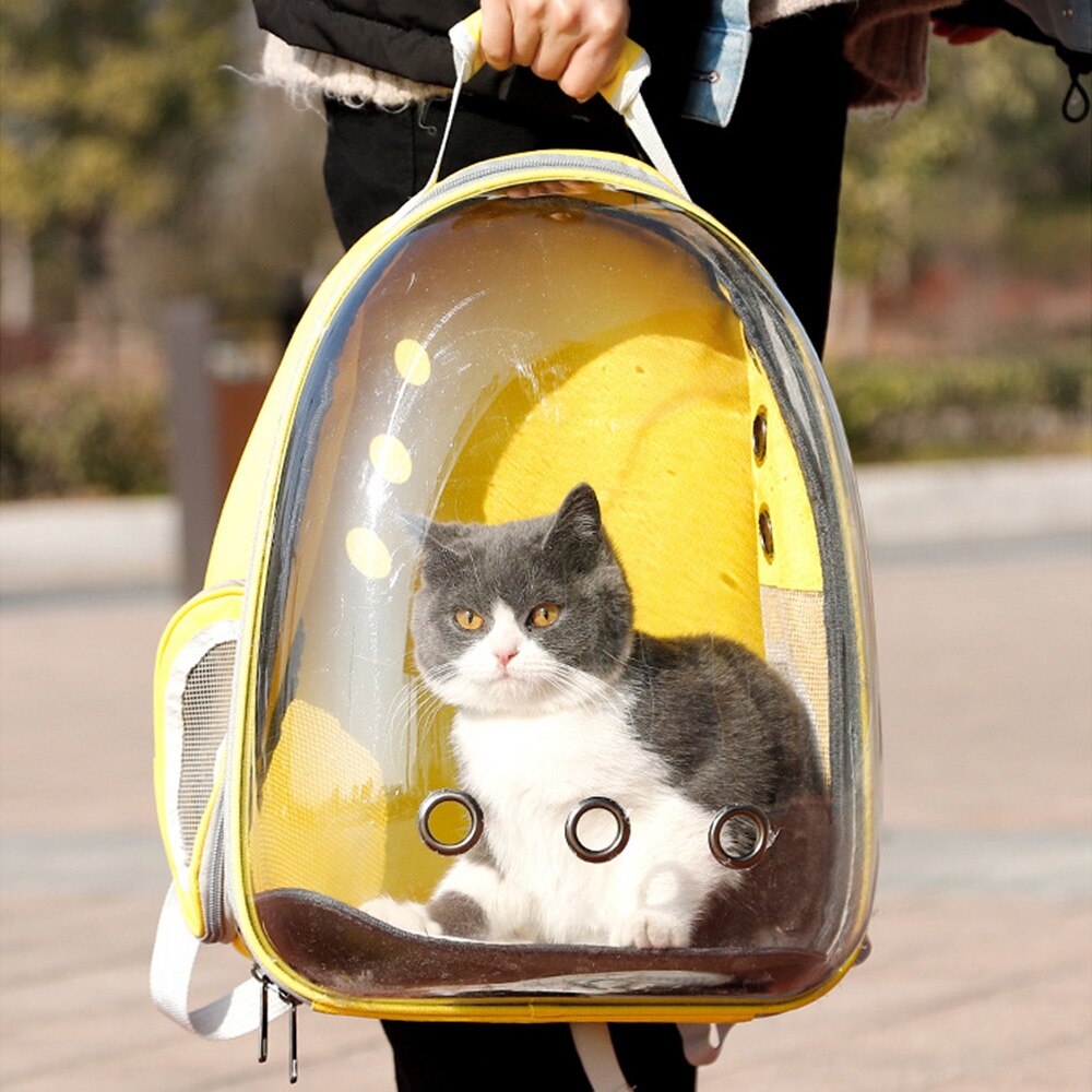 Katteholder taske åndbar gennemsigtig hvalp kat rygsæk katte kasse bur lille hund kæledyr rejseholder håndtaske plads kapsel