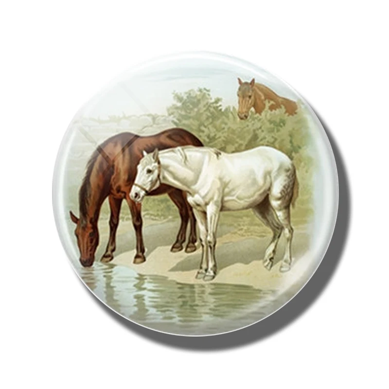 Pferd 30 MM Kühlschrank Magnet Glas Kuppel Cabochon Magnetischen Kühlschrank Aufkleber Hinweis Halfter Nette Tiere Wohnkultur: Blau