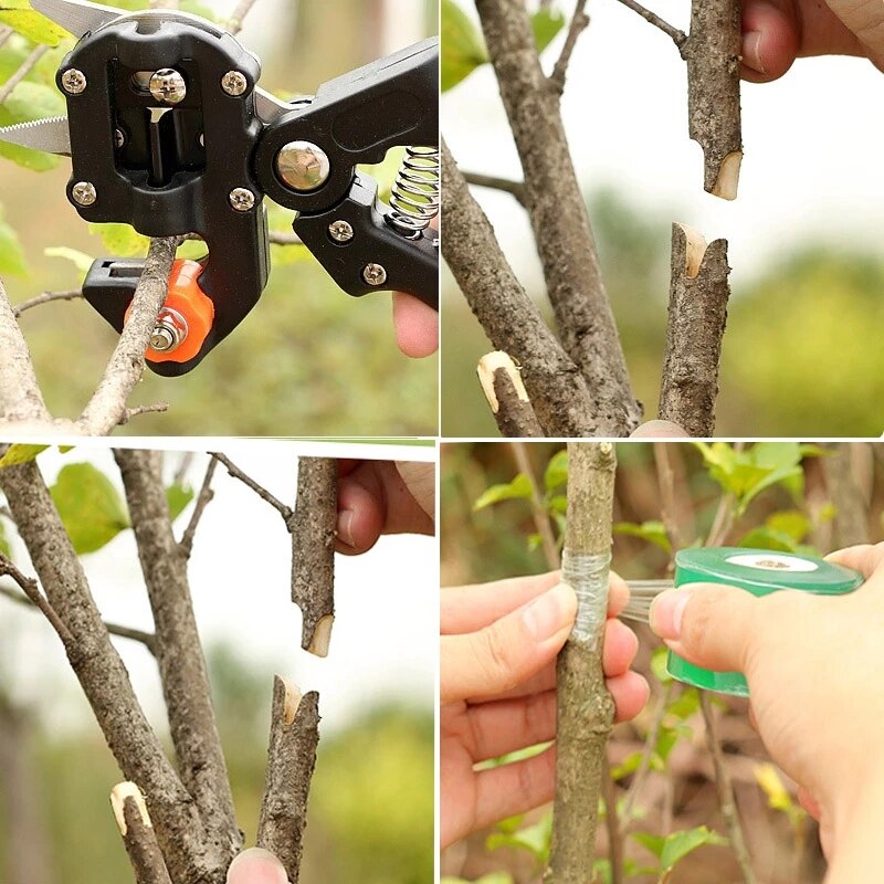 Grafting Pruner Tool Garden Fruit Tree Branch Cutter Secateur Pruning Plant Shears Grafting Scissor