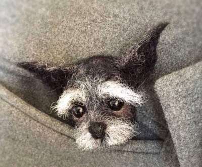 Diy Dieren Broche Vos Hond Kat Wol Naaldvilten Materiaal Pakket Wolvilt Craft Poke Set Handwerk: 15