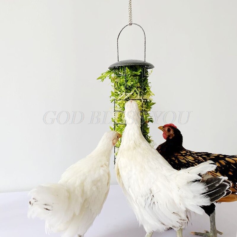 Cesta de alimentación para pollos, alimentador de verduras, frutas, verduras, Paloma, polluelo, gallina, diversión, caja de tratamiento de Metal, herramienta de alimentación
