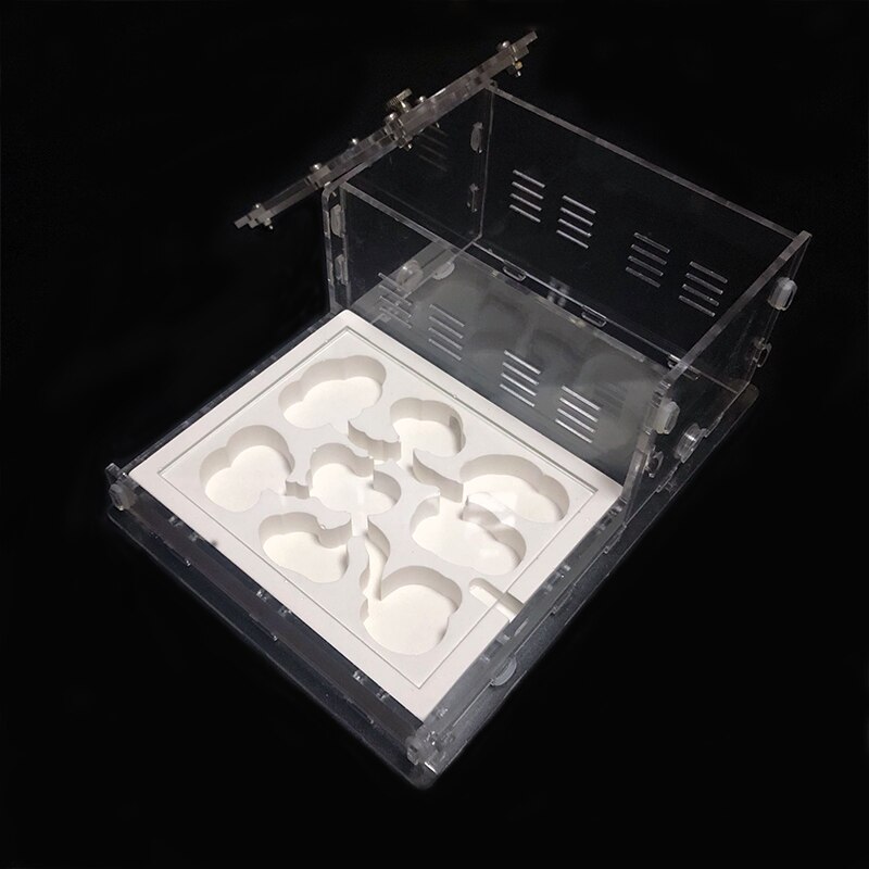 Acrylic Flat Ant Farm Ecological Plaster Ant Nest With Feeding Area Gypsum Ant House Anthill Pet Ant Workshop 8* 13*7.5cm