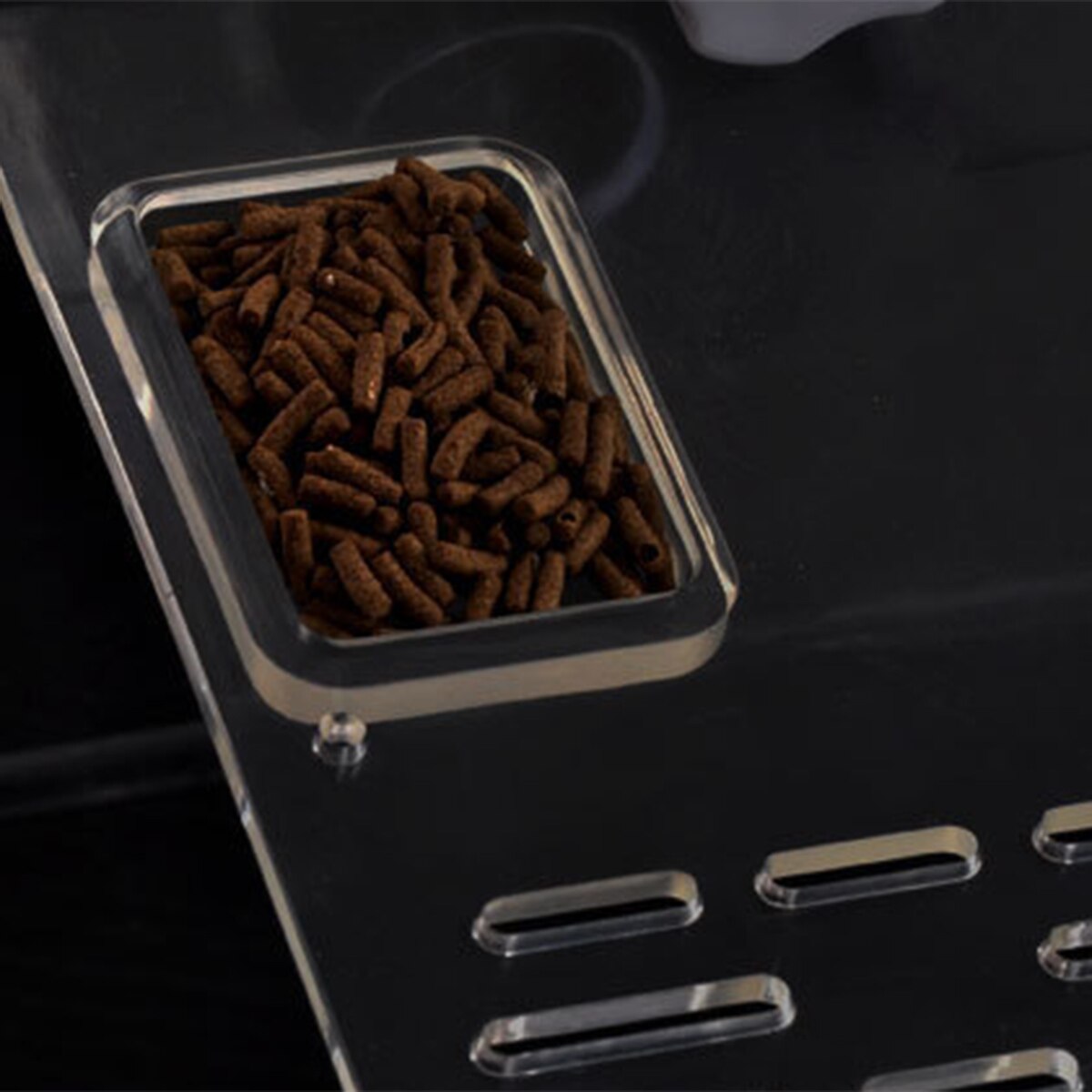 Turtle Basking Platform Tortoise Floating Platforms Aquarium Tortoise Platform Terrace For Turtles Frogs Fish Tank Reptile Box