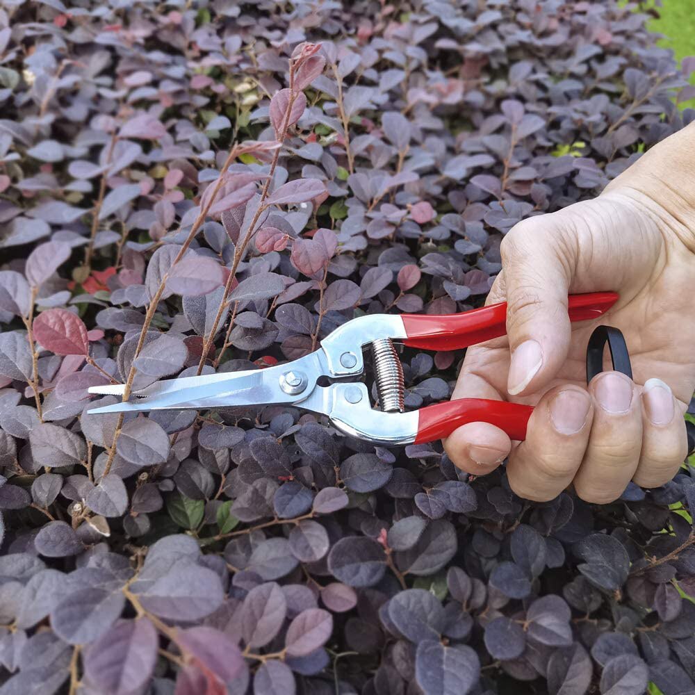Tuinieren Hand Snoeischaar Tuin Schaar Snoeischaar Micro-Tip Snoeien Knipt Blad Trimmer Rechte Bloemist Schaar Voor Planten