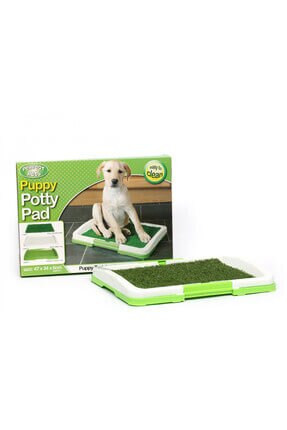 Puppy Dog Toilet Training Kit 46.50 cm x 34cm x 3.8 cm