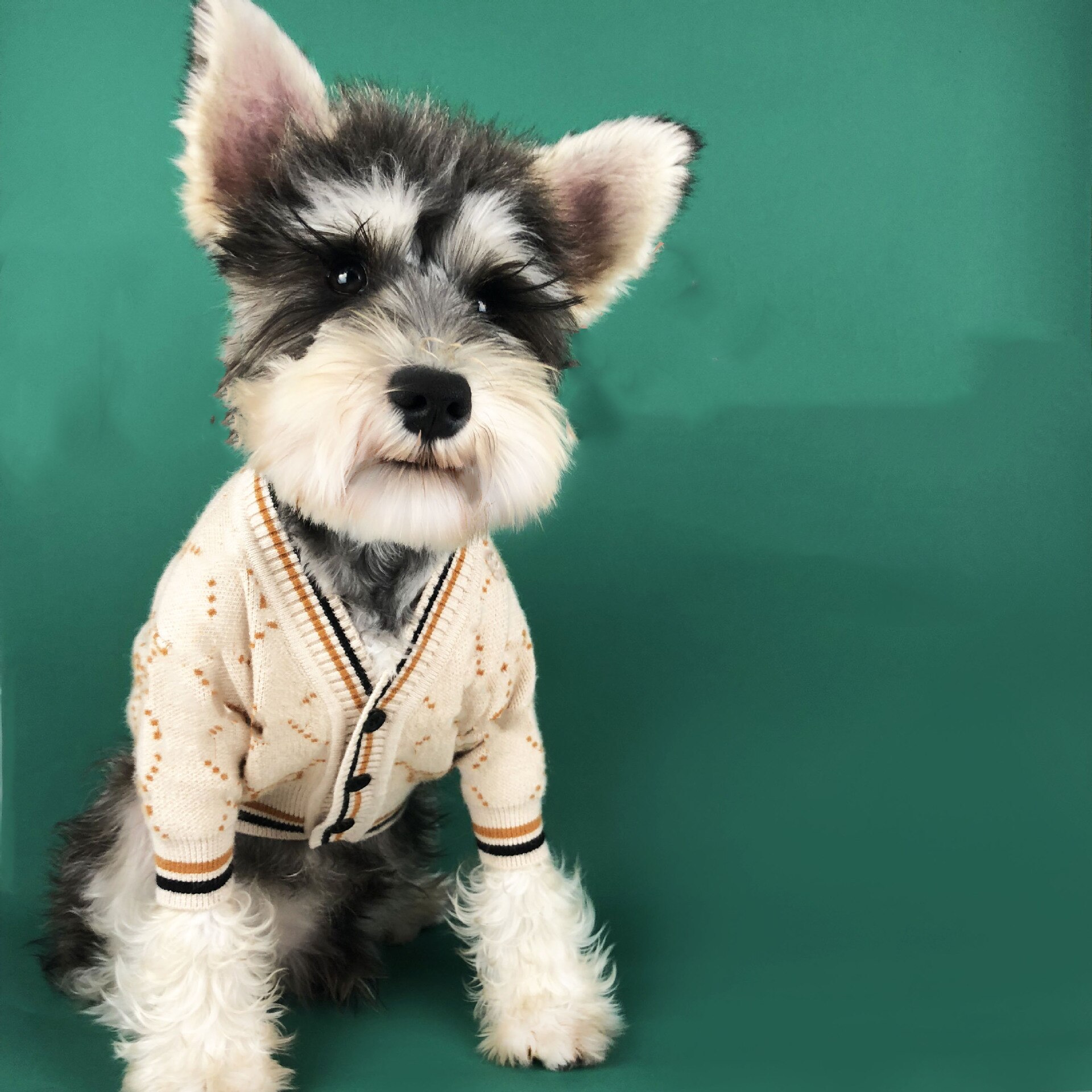chien pull luxe chiens coton sweat pour Yorkshire Chihuahua tenue doux manteaux pour bouledogue français carlin chiot Costume: Apricot / XXL