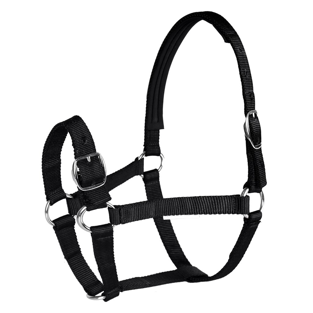 Adjustable Equestrian 4.3ft - 5.4ft Horse Halter - for Training, Trailering and Lunging: black