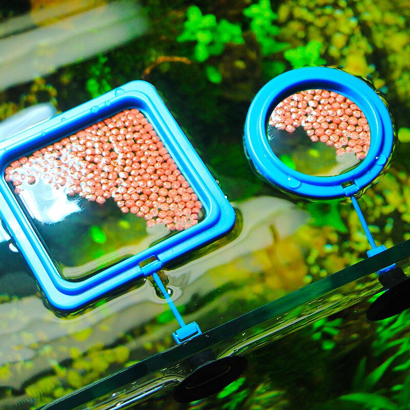 Anillo de alimentación flotante para acuario, comedero para acuario cuadrado redondo alimento para peces, bandeja con ventosa, Accesorios para tanque para peces
