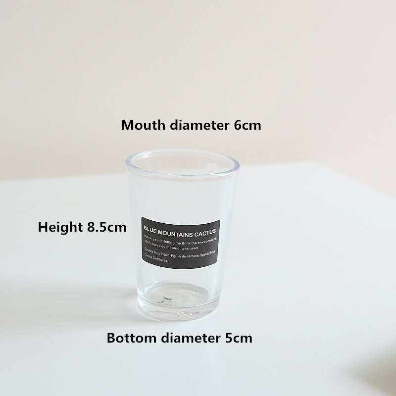 Transparent Flower Vases Glass for Decoration Hydroponic Plant Vase Flower Bottle Living Room Decoration Dried Flower Desktop: C