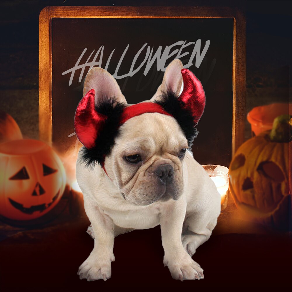 Disfraz de perro gato gracioso ala de murciélago, accesorio de Cosplay, disfraz de murciélago de Halloween, ropa de decoración para de Navidad, productos para mascotas