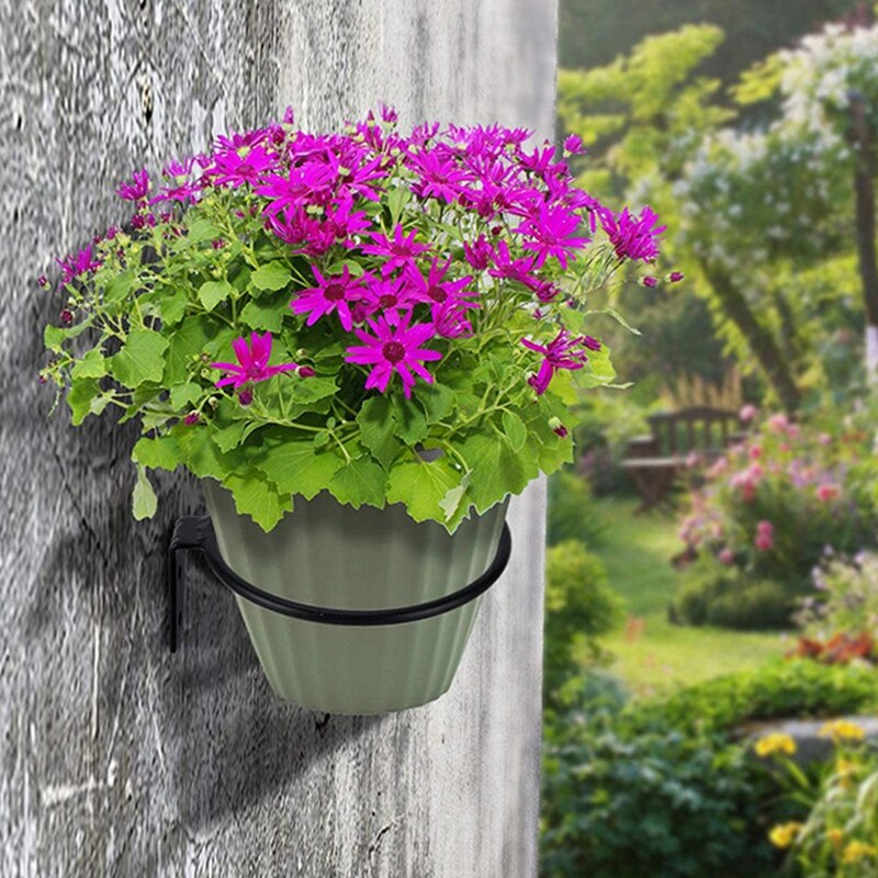 Bloempot Houder Ring Wandmontage Metalen Planter Haken Hangers Muur Beugel, 3 Pack, Zwart, 8 Inch